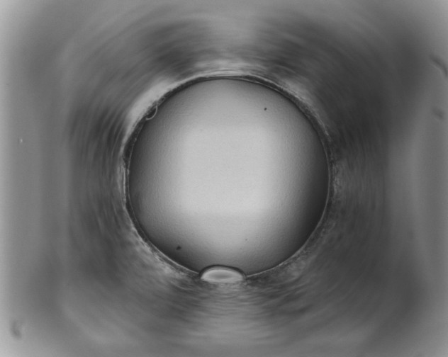 X0000101951472200808011035