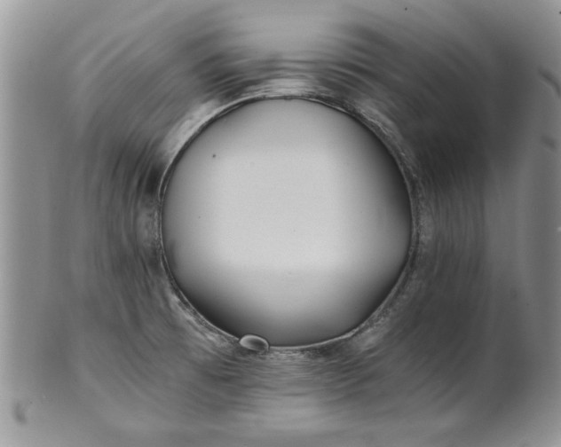 X0000101951473200808011035