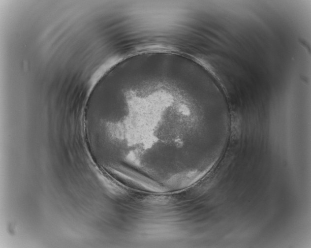 X0000101951474200808011035