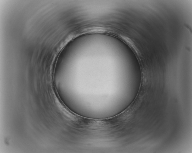 X0000101951475200808011035