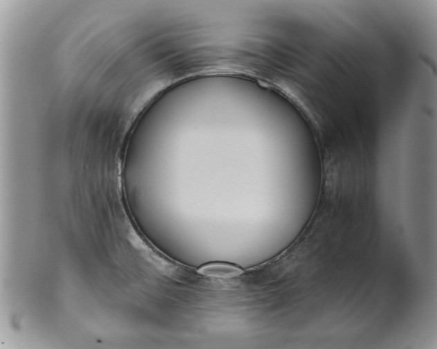 X0000101951476200808011035