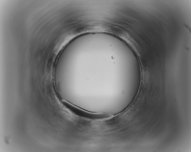 X0000101951477200808011034