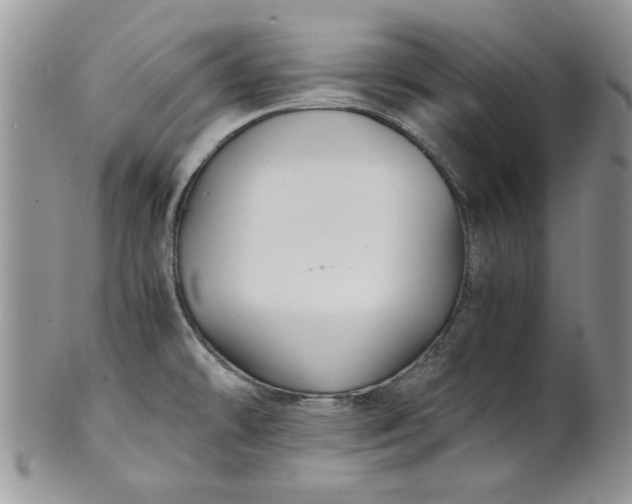 X0000101951478200808011034