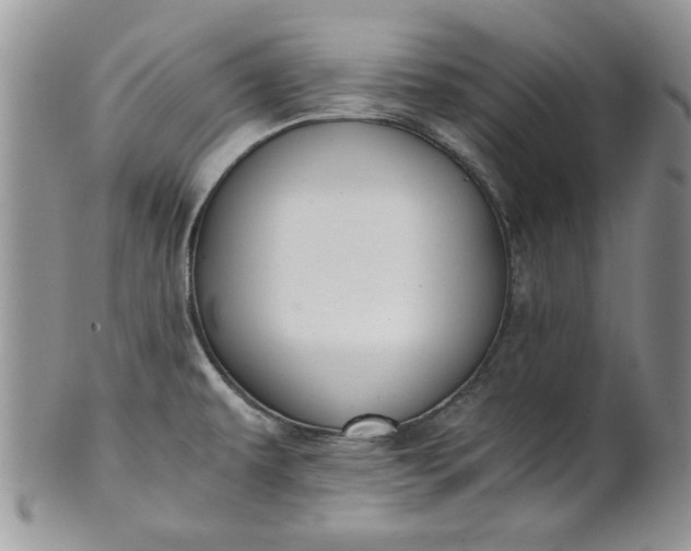 X0000101951479200808011034