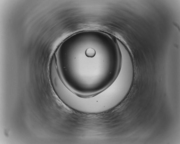 X0000101951480200808011034