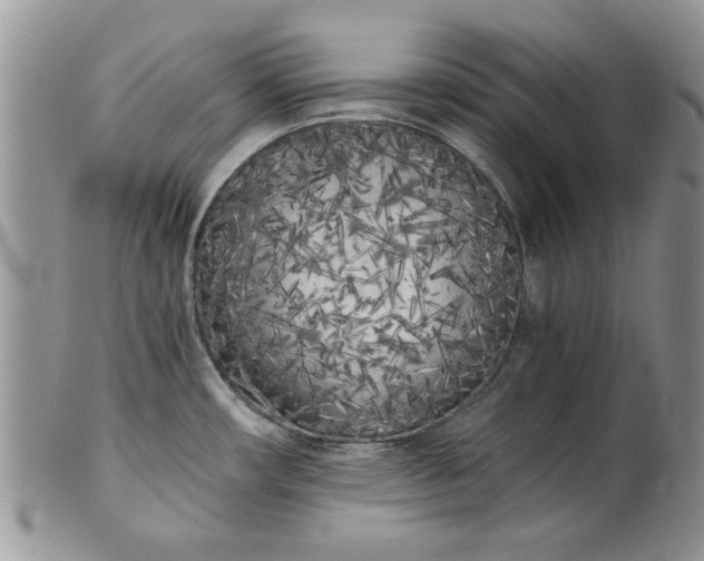 X0000101951482200808011034