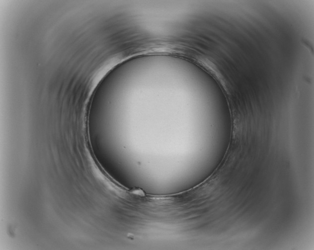 X0000101951483200808011034