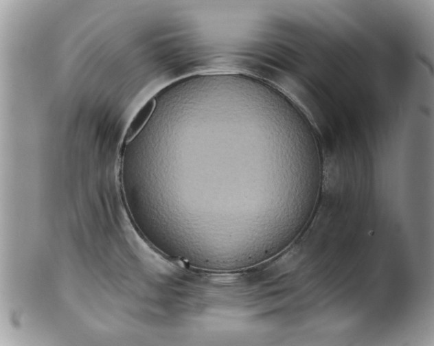 X0000101951484200808011034