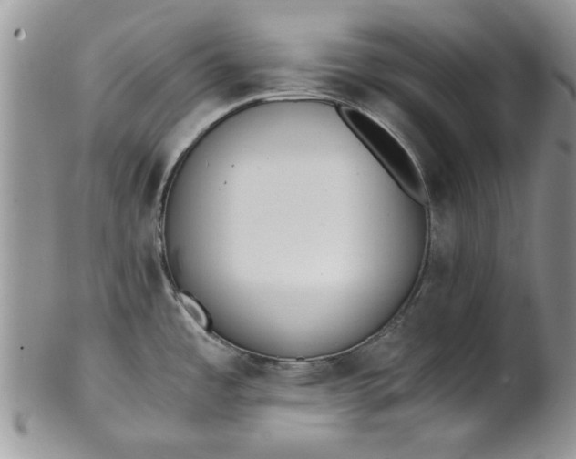 X0000101951485200808011034