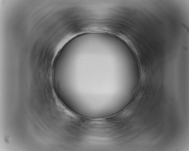 X0000101951486200808011034