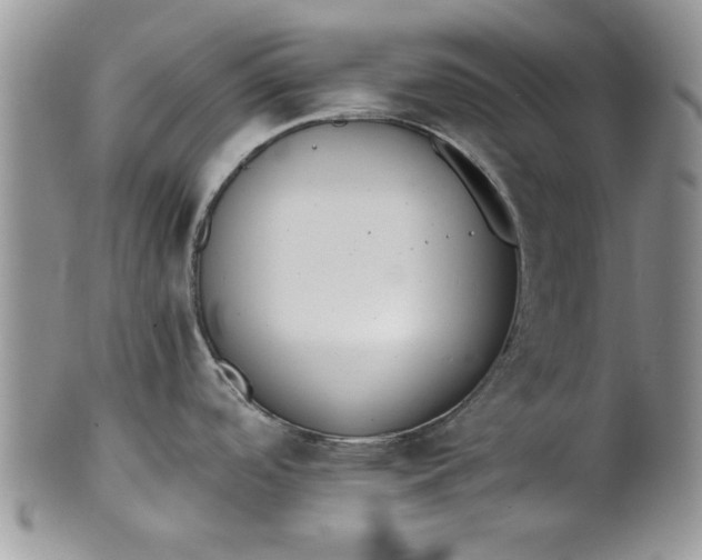 X0000101951488200808011034