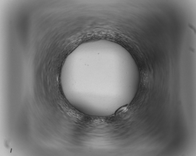 X0000101951489200808011034