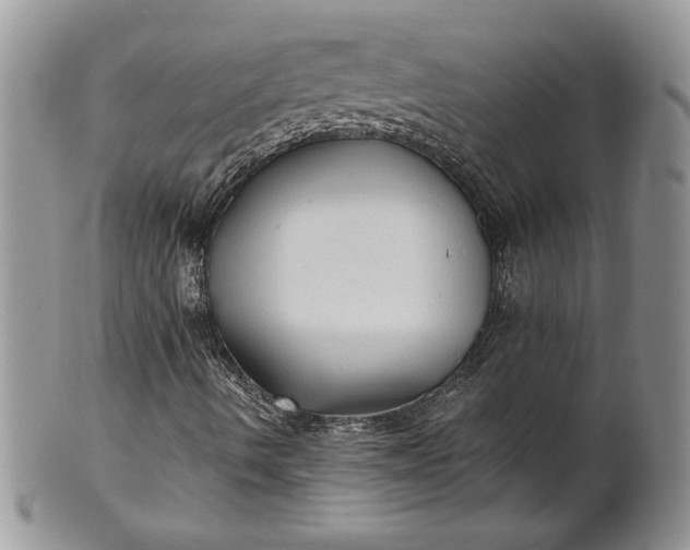 X0000101951490200808011034