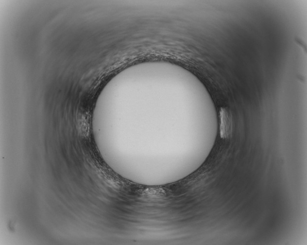 X0000101951491200808011034