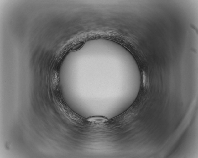 X0000101951492200808011034