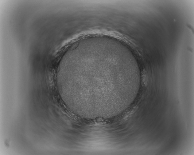 X0000101951494200808011034