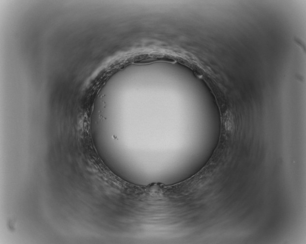 X0000101951495200808011034