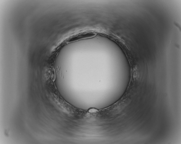 X0000101951496200808011034