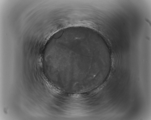 X0000101951497200808011034