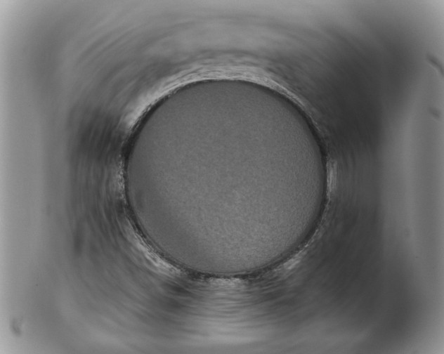 X0000101951498200808011034