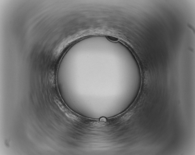 X0000101951499200808011034