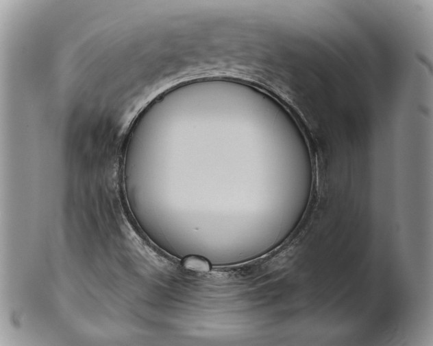 X0000101951500200808011034