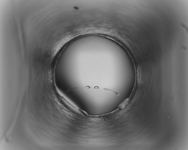 X0000101951501200808011034