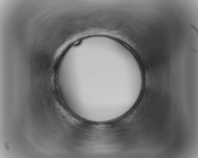 X0000101951502200808011034