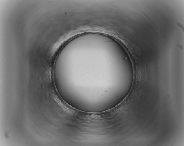 X0000101951503200808011034