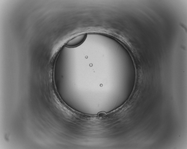 X0000101951504200808011034