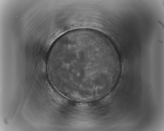 X0000101951505200808011034