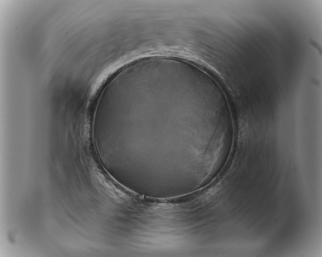 X0000101951506200808011034