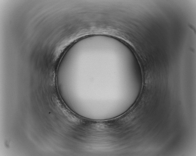 X0000101951507200808011034