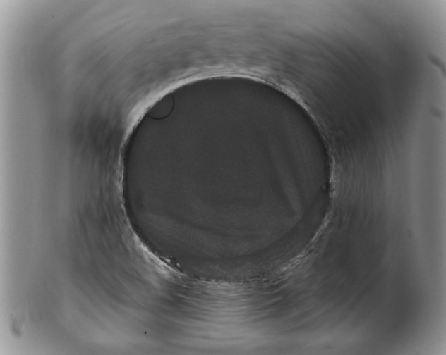 X0000101951508200808011034