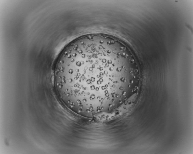 X0000101951509200808011034