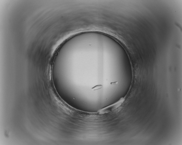 X0000101951510200808011034