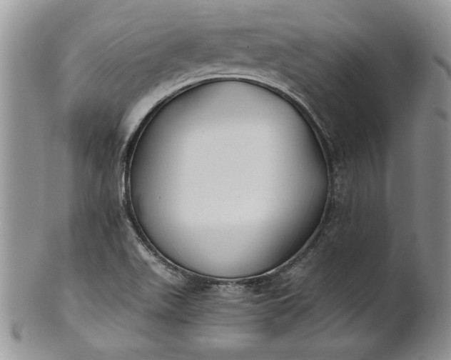 X0000101951511200808011034