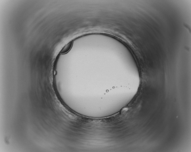 X0000101951512200808011034