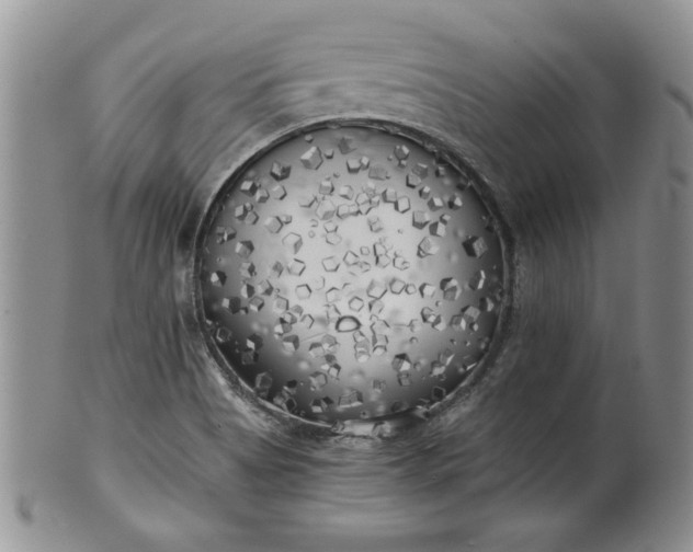 X0000101951513200808011034