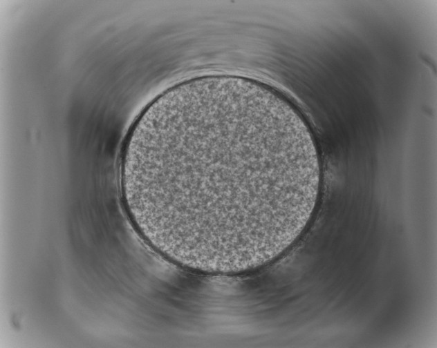 X0000101951514200808011034