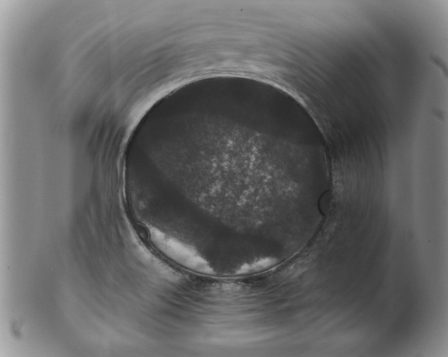 X0000101951515200808011034