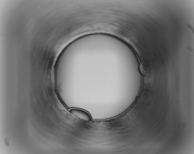 X0000101951516200808011034