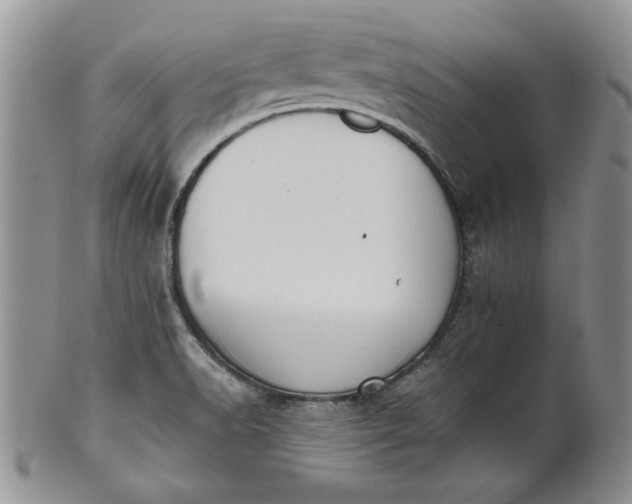 X0000101951518200808011034