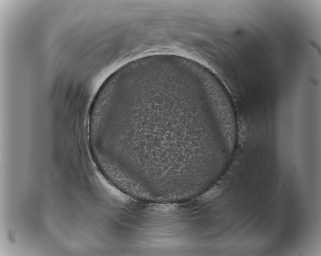 X0000101951519200808011034