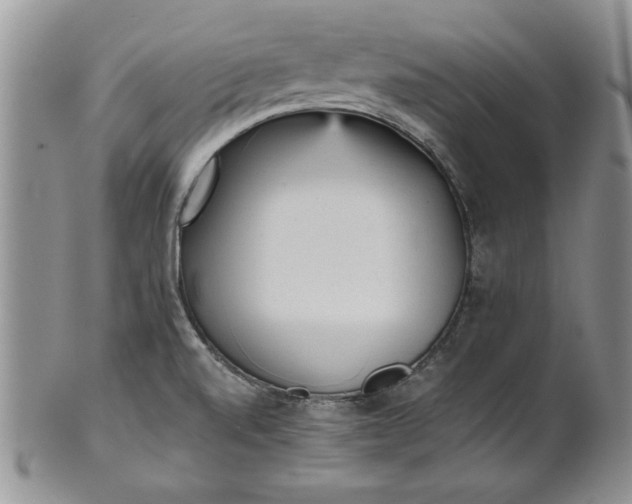 X0000101951520200808011034