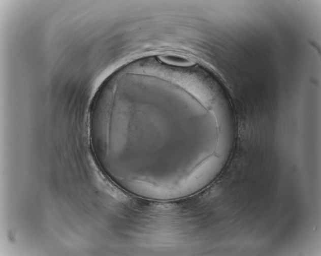 X0000101951522200808011034