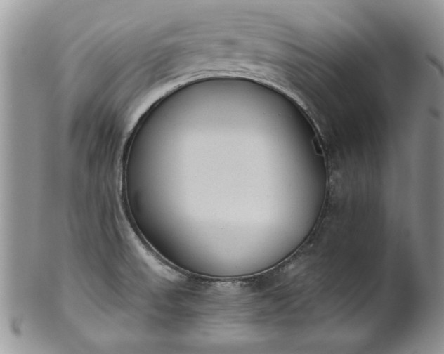 X0000101951523200808011034