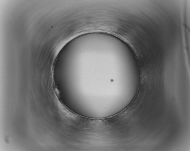 X0000101951524200808011034