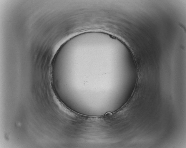 X0000101951526200808011034