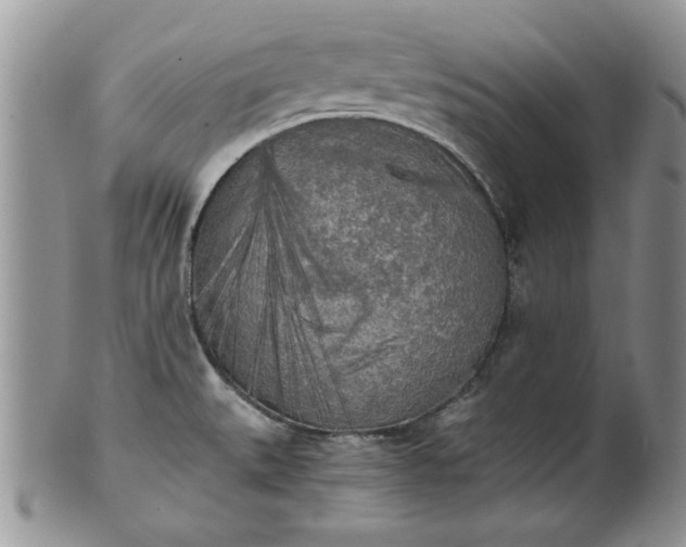 X0000101951527200808011034